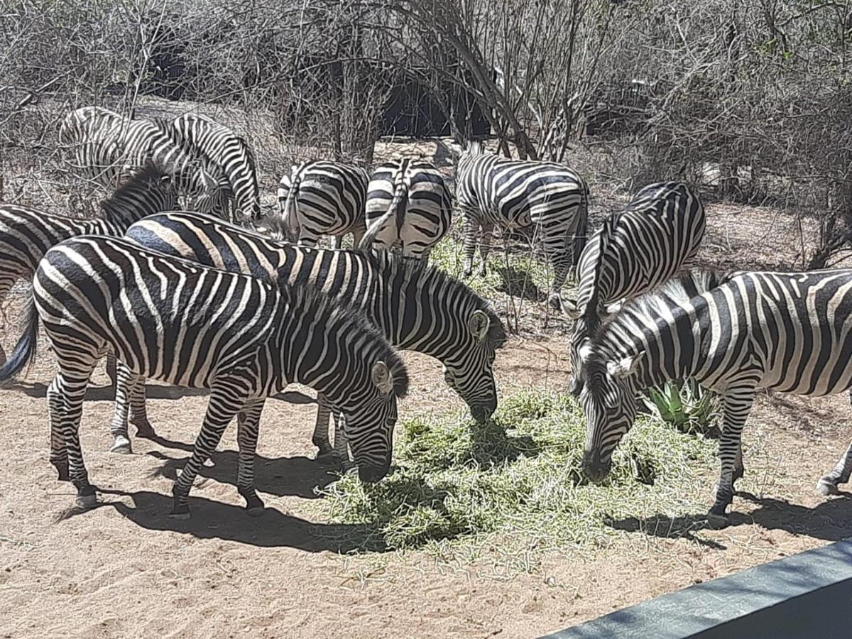 African Bush Escape Marloth Park Exteriér fotografie