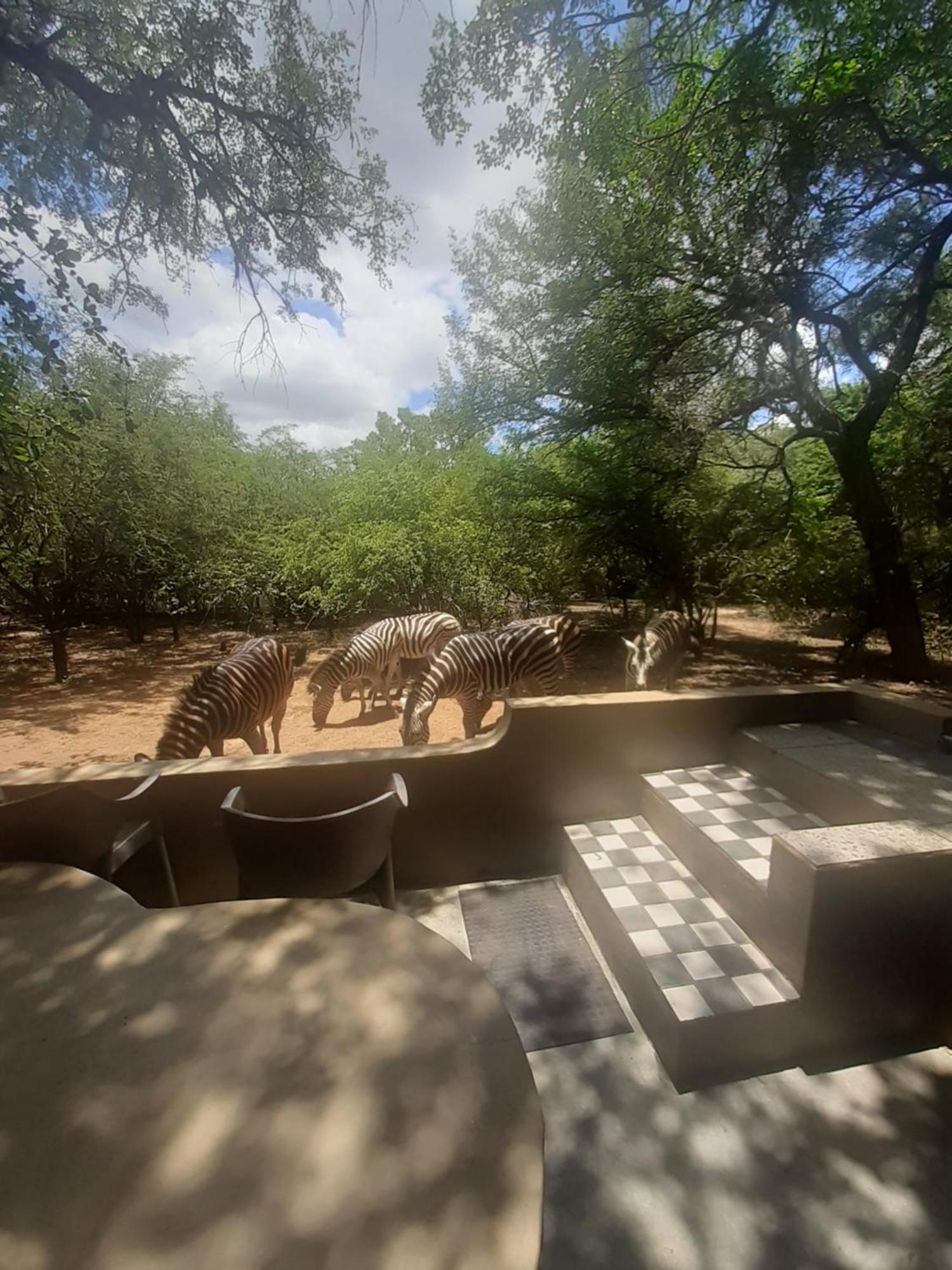 African Bush Escape Marloth Park Exteriér fotografie